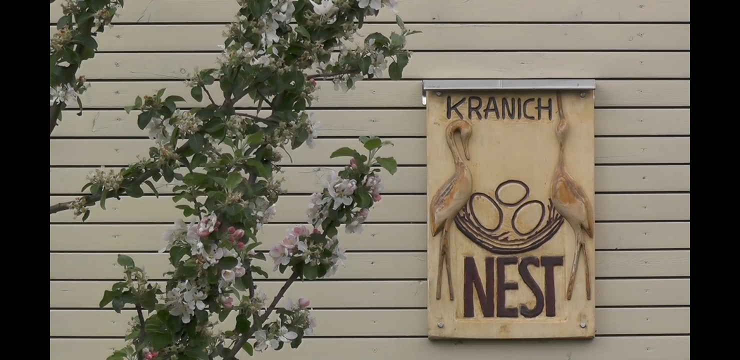 Ferienhaus Kranichnest - Außenansicht mit Naturblick